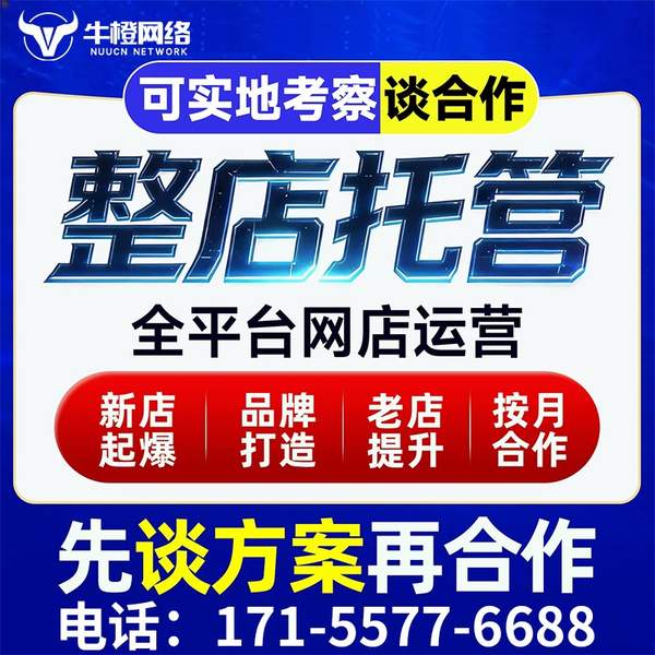 邹平电商代运营