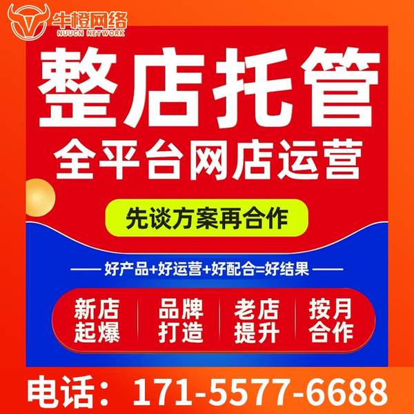 邹平电商代运营